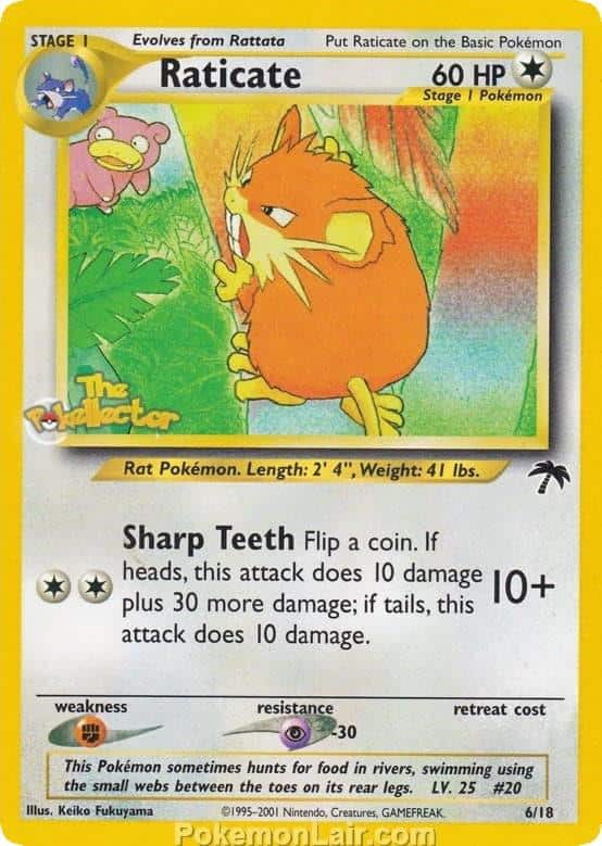 2001 Pokemon Trading Card Game NEO Southern Islands Price List 6 Raticate