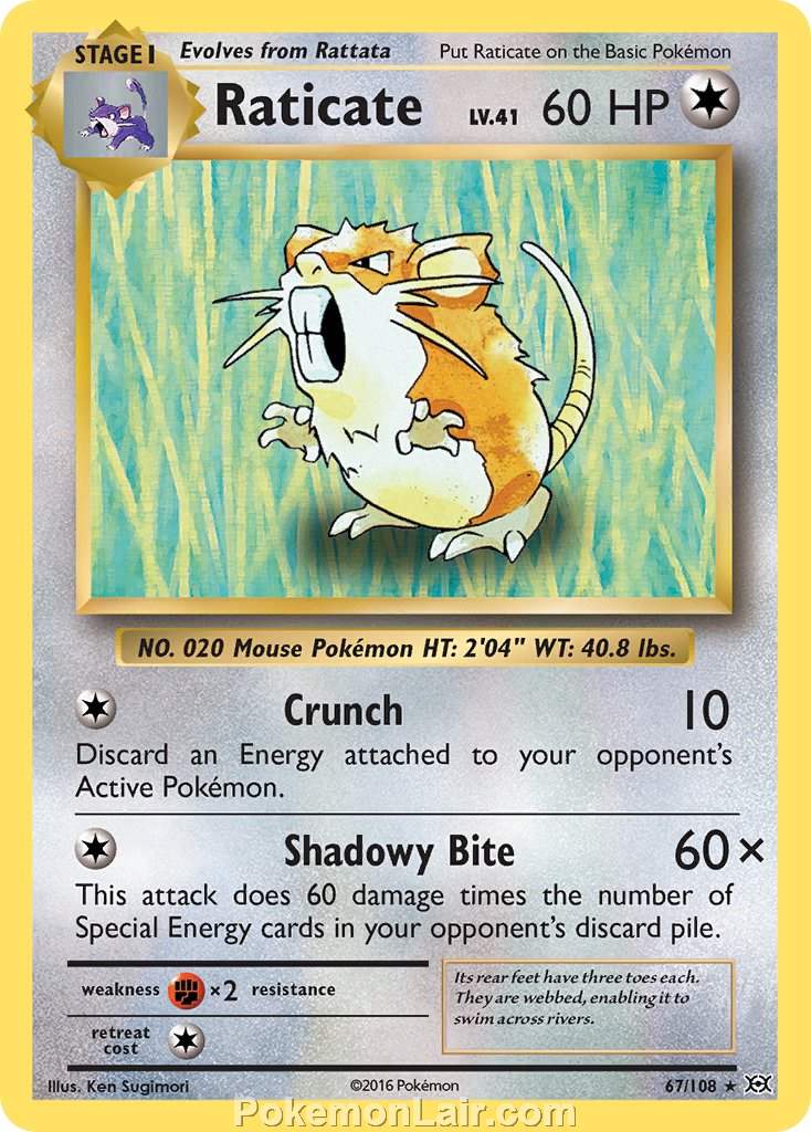 2016 Pokemon Trading Card Game Evolutions Set – 67 Raticate