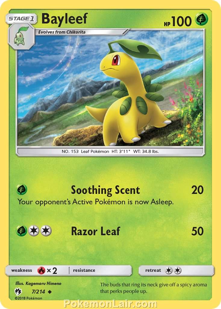 2018 Pokemon Trading Card Game Lost Thunder Price List – 7 Bayleef