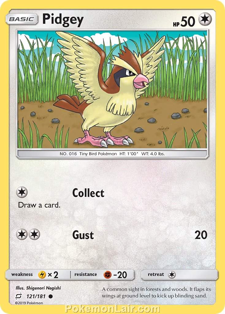 2019 Pokemon Trading Card Game Team Up Price List – 121 Pidgey